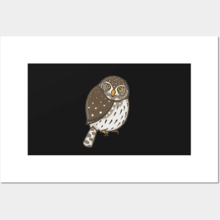 Northern Pygmy Owl Posters and Art